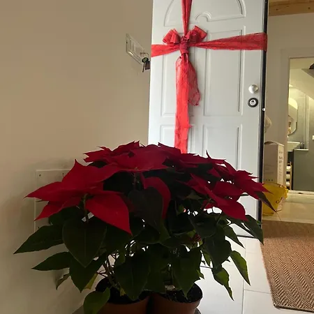 3124 Holiday home Catania